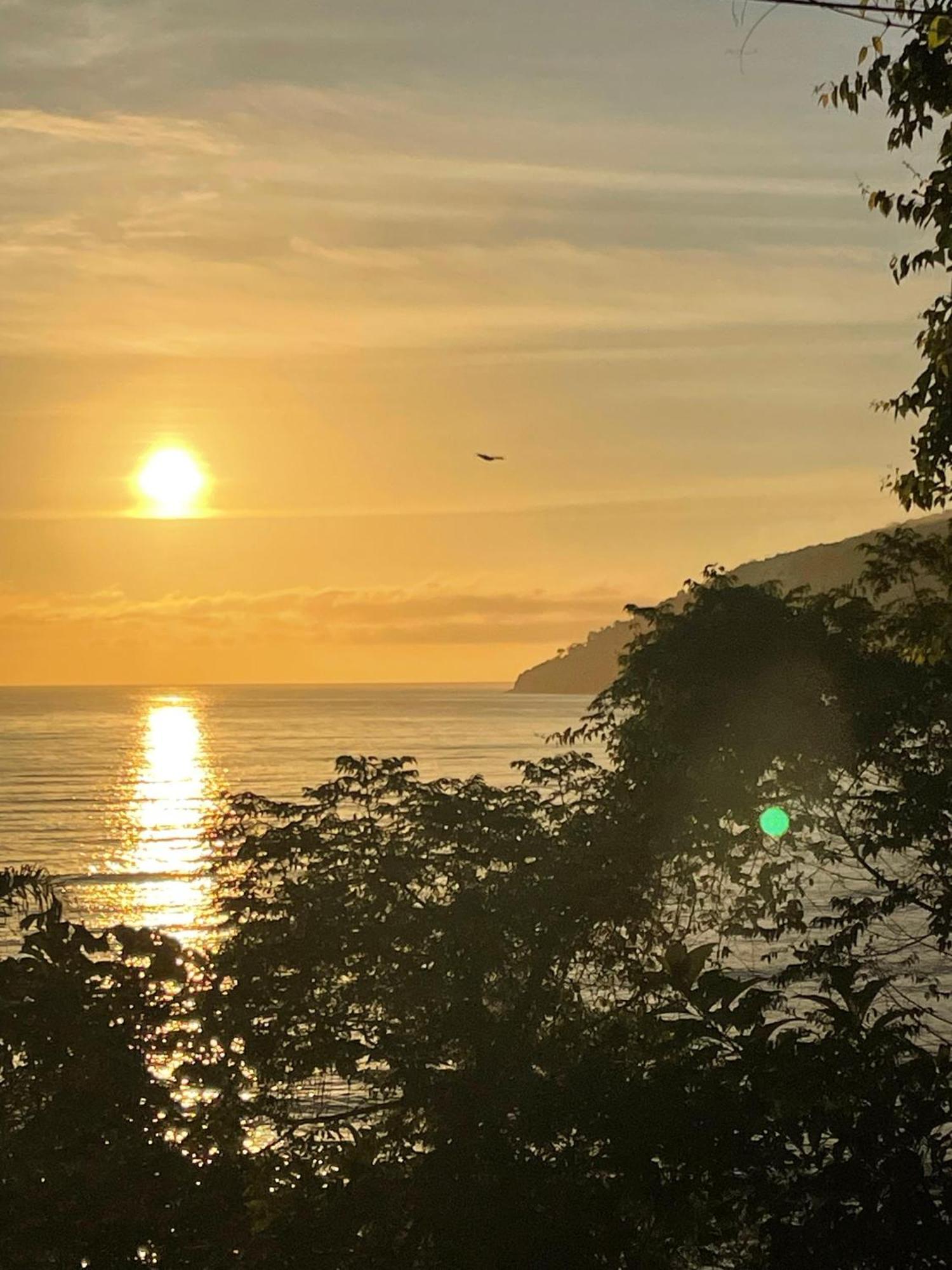 Ubatuba Wild Surf Hostel Zewnętrze zdjęcie